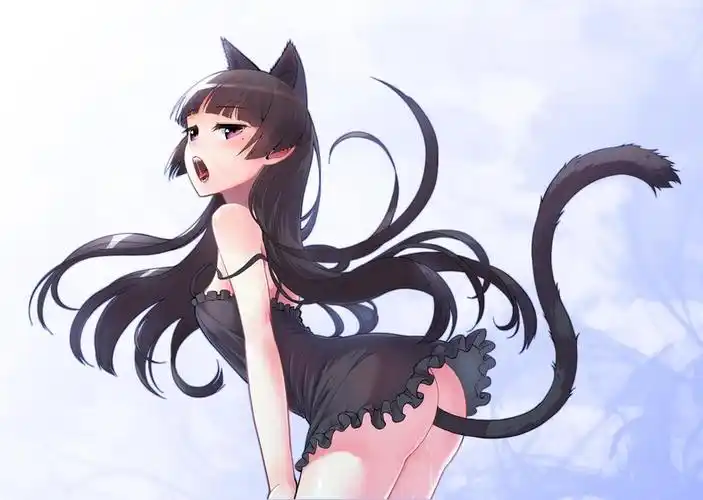 我的妹妹哪有那么可爱猫女郎