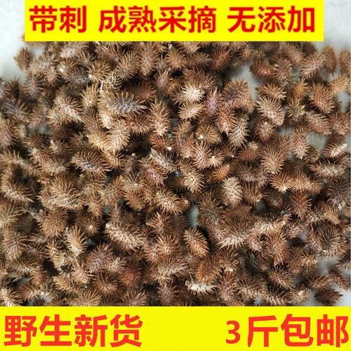 苍耳子三斤正宗中药材带刺野生正品毛苍子胡苍子苍耳果实煮水泡脚