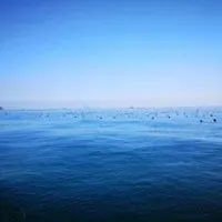蓝色天空大海头像_微信头像图片大全