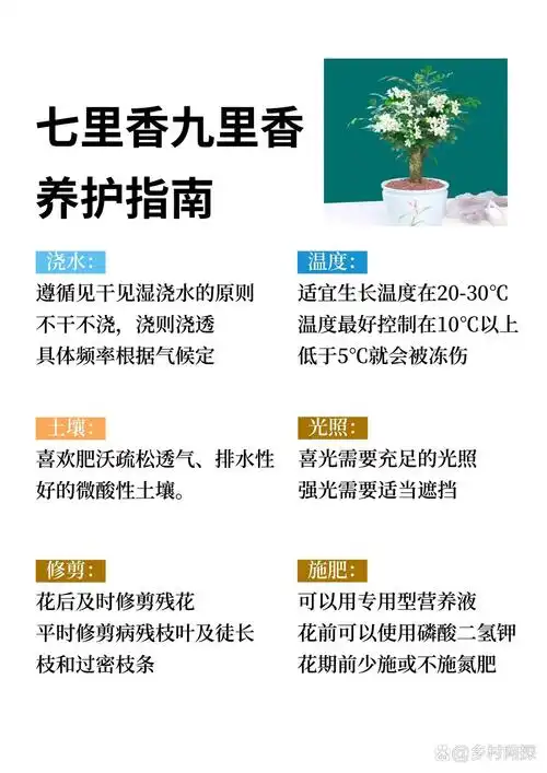 七里香和九里香的区别有: 	 1,叶子的区别 将两者对比起来看,恳以