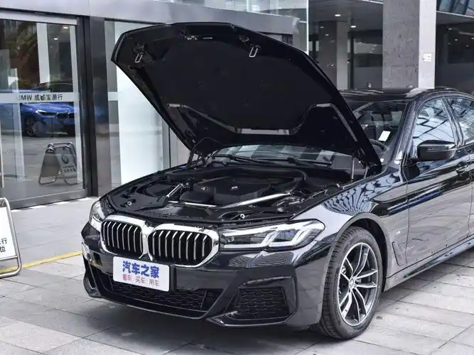 宝马(进口) 宝马5系(进口) 2022款 525i m运动套装
