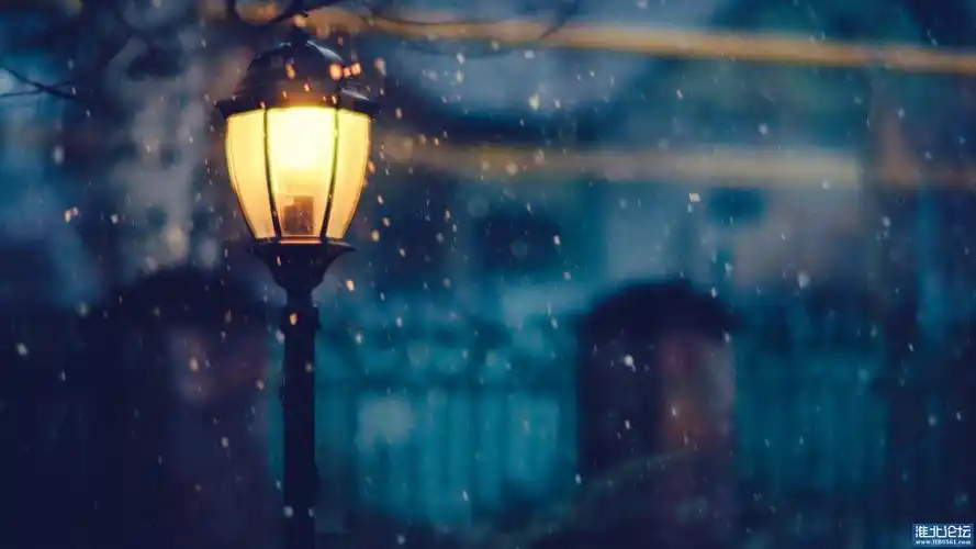 在寒冷的冬夜里雪花飘摇一束路灯打过来恍惚之中我回首你在那