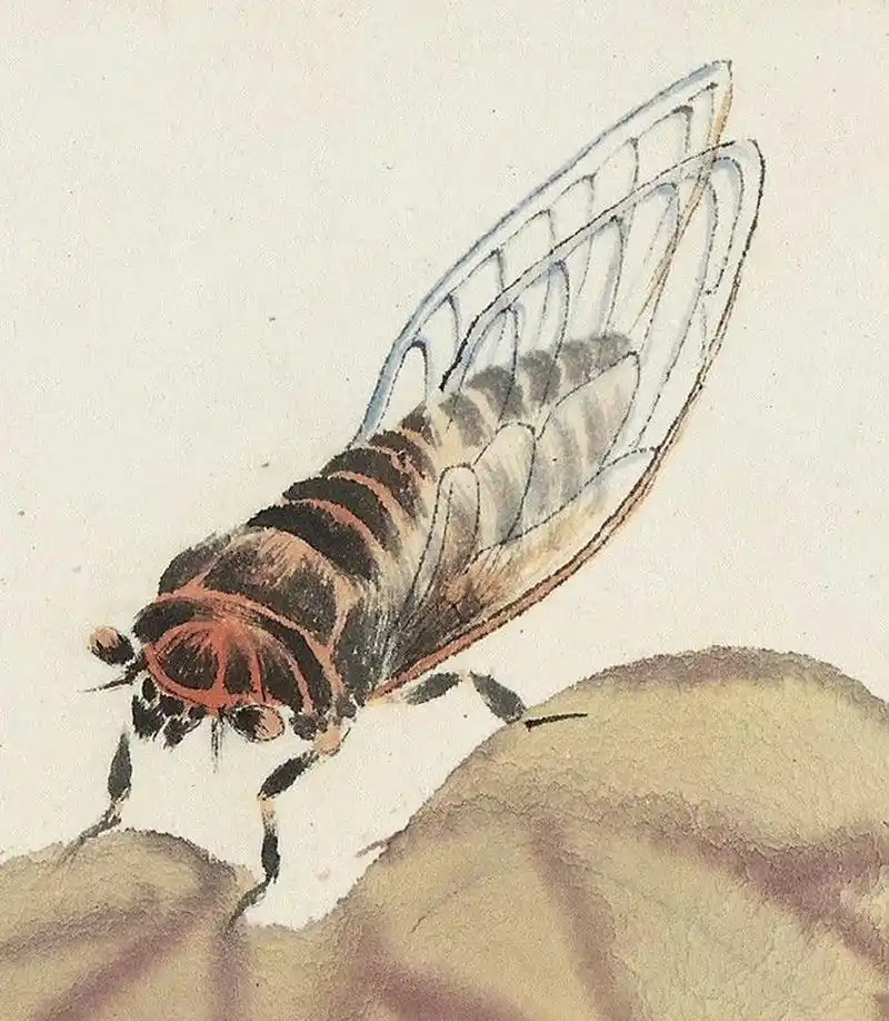 齐白石笔下的昆虫.