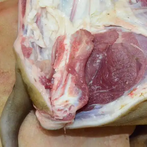 贵州大山新鲜当天现杀生带皮黑山羊肉带骨羊腿肉五斤