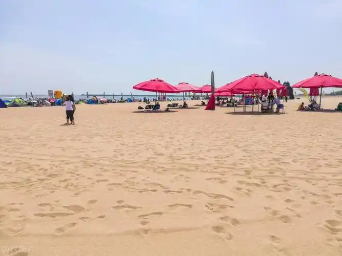 天津海边旅游景点排行榜天津大海边上哪里好玩