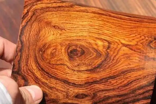 黄花梨木的价格