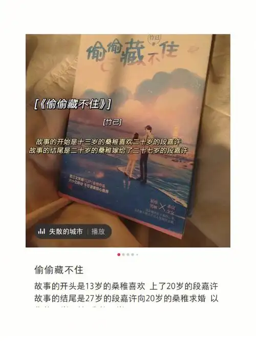 最近恋上了小说偷偷藏不住yyds