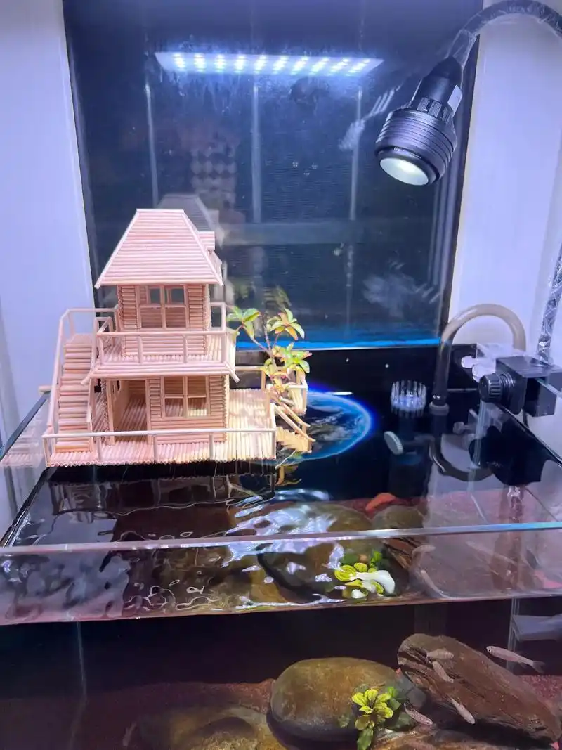 纯手工打造 #手工 #鱼缸造景  - 抖音