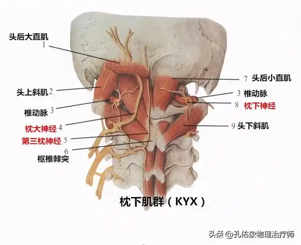 头部出现3种不适,可能是疾病来袭
