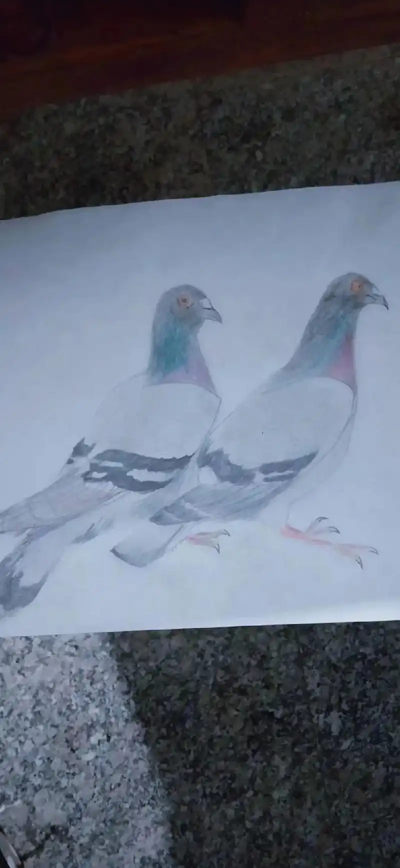 彩铅画作品,每幅画风格不同,塑造的角色也不同,大自然就是这么 - 抖音