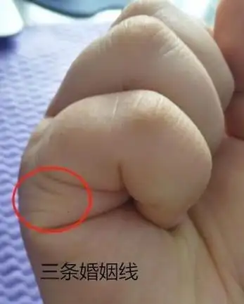 为你揭示你的手相是否有桃花运.