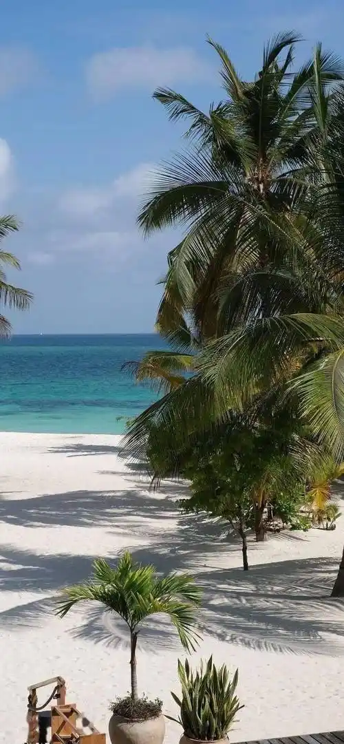 壁纸一看就想换的锁屏壁纸