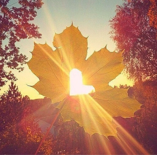 灵签占卜:选出你最喜欢的一束阳光,测出你的鼠年会不会有大烦恼!