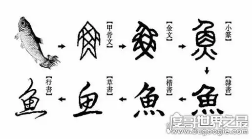 汉字演变过程
