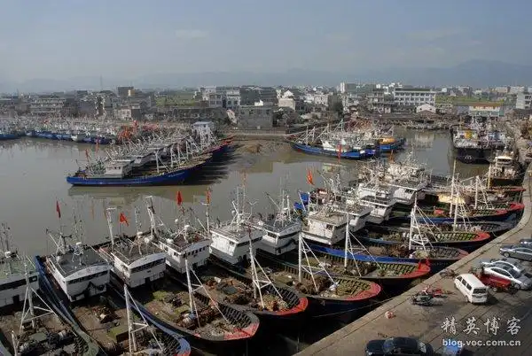 温州 苍南第十二届龙港巴曹开渔节摄影花絮