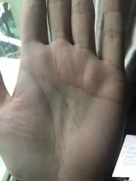 手相智慧线分叉,有双重智慧线,具有双重性格,事业上有不错收获