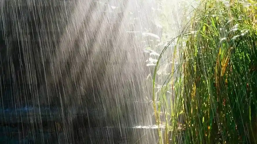 下雨天如何拍出有意思的照片