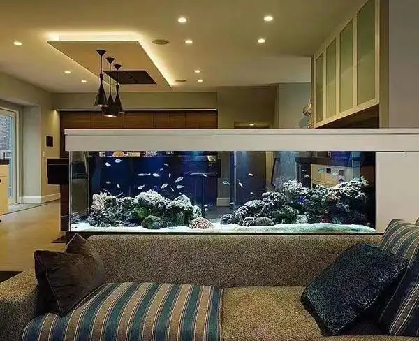 安徽鱼缸鱼缸定做合肥尚品推荐商家