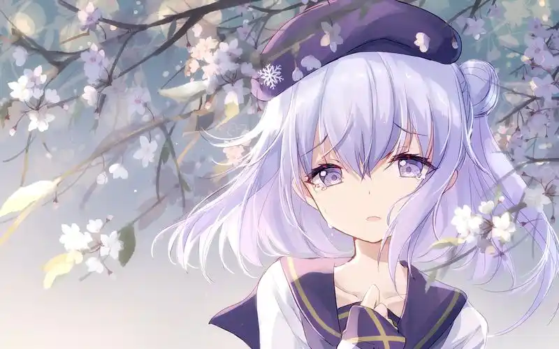 战舰少女r雪风动态壁纸