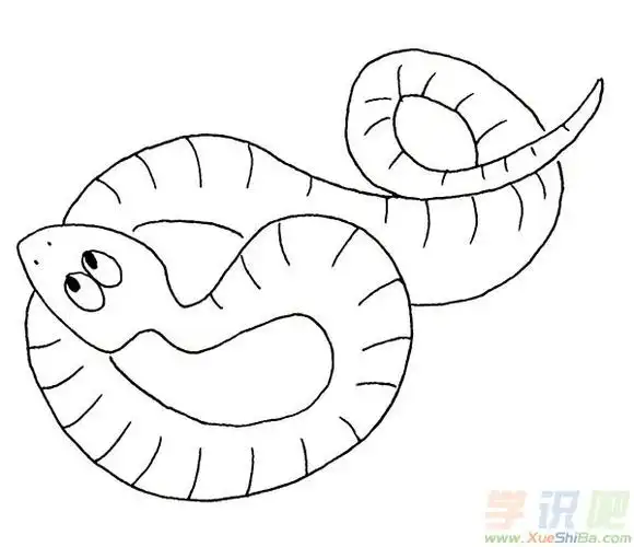 小动物图片简笔画