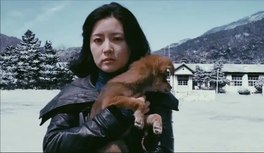 亲切的金子 朴赞郁导演的每一帧都是艺术