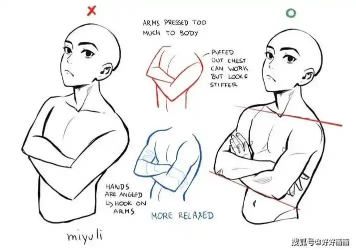 男性人体参考分享