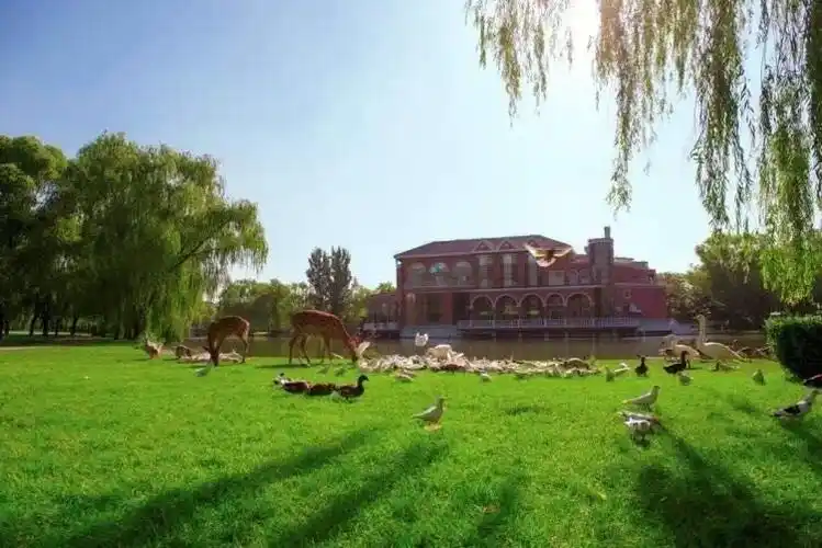 紫玉山庄唯一套在售双拼别墅带40平稀缺露台