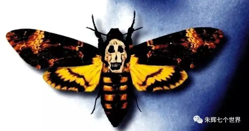 表面的意思 在解剖被野牛比尔杀害的第一个女孩时,法医在她的喉咙