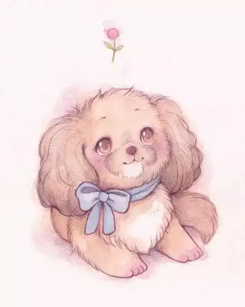 手绘毛茸茸可爱的小动物有没有萌到你