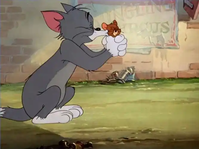 猫和老鼠的名场面