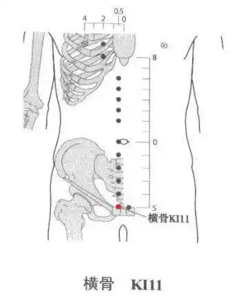 横骨一个经常被人们忽略的神奇部位
