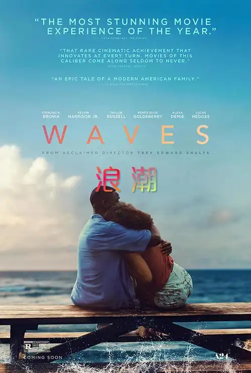 蓝光电影|蓝光原盘 [浪潮].waves.2019.usa.bluray.1080p.avc.