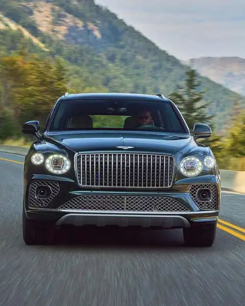 宾利添越美图欣赏