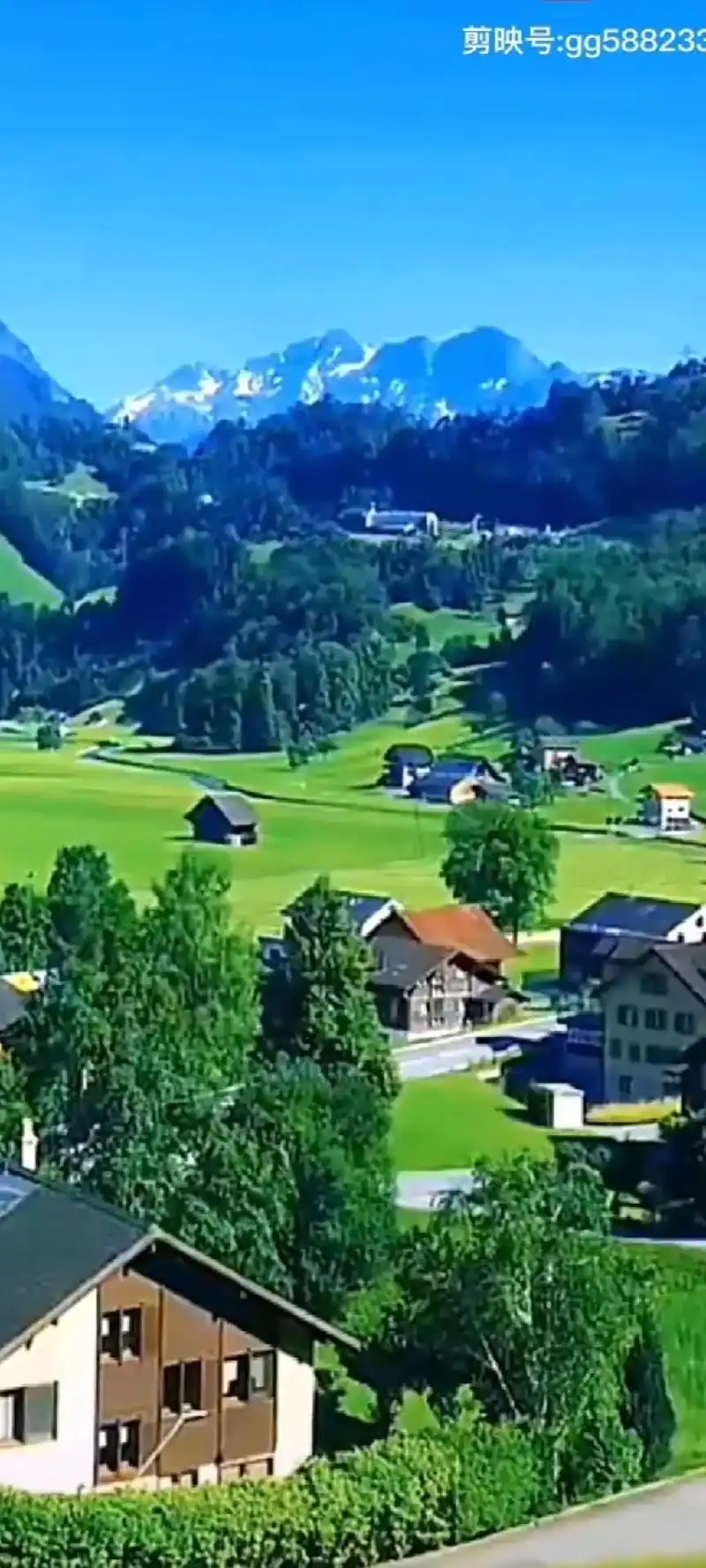 友友们大家上午好# 分享一首草原歌曲《故乡的牧羊人》希望您 - 抖音