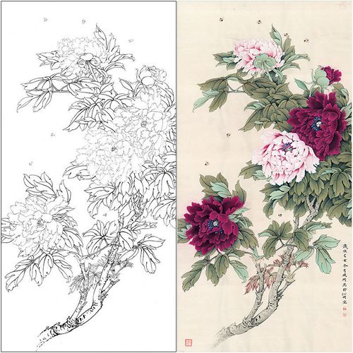 李晓明工笔画白描底稿牡丹四尺初学临摹画稿含a3步骤图及教程kg03