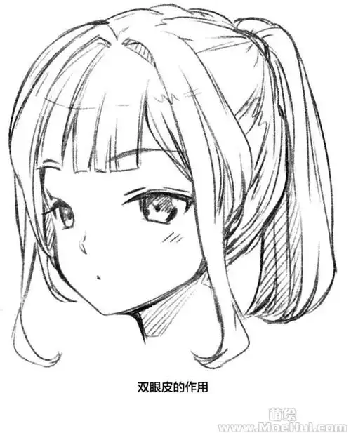 首页 在线教程 漫画教程 漫画入门双眼皮在现实中并不是每个人都有的