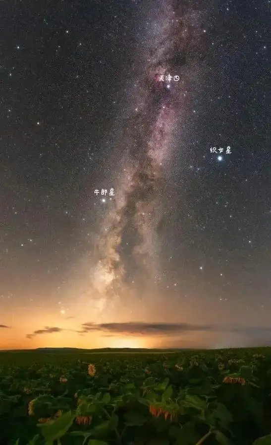 牛郎星与织女星,又称为牛郎星座和织女星座,是中国民间传说中 - 抖音