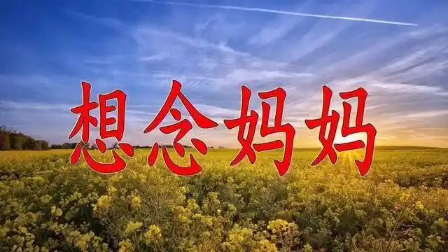 悼念母亲去世二十四周年(沉痛悼念妈妈去世100天)(6)