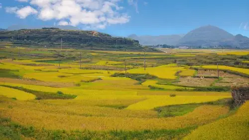 秋天的味道非常浓郁