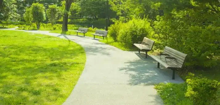 照片素材(图片): 公园长凳树木