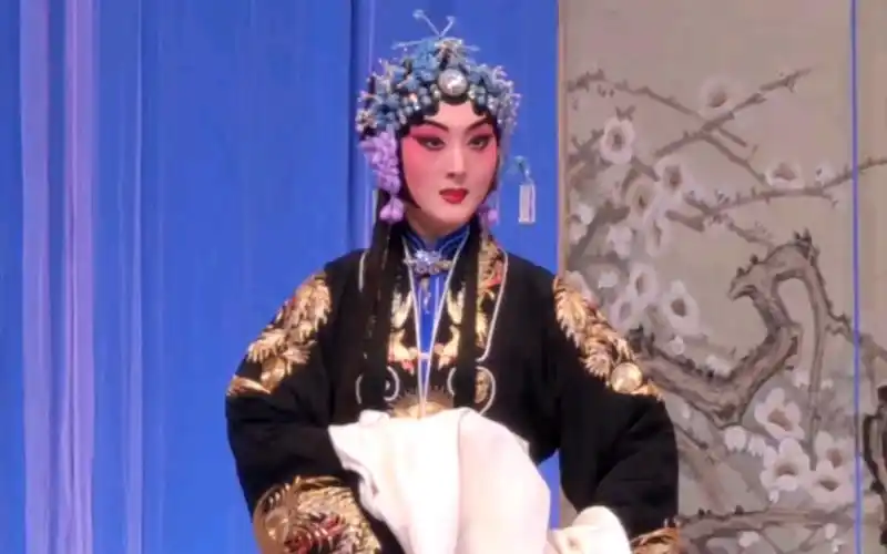 【催眠专用①】朱虹《二进宫》自那日与徐杨决裂以后