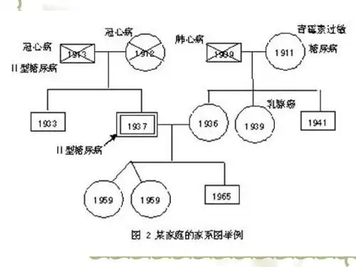 社会工作家庭结构图与生态系统图