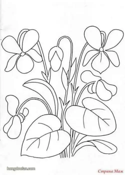 蝴蝶兰要如何画蝴蝶兰简笔画大全