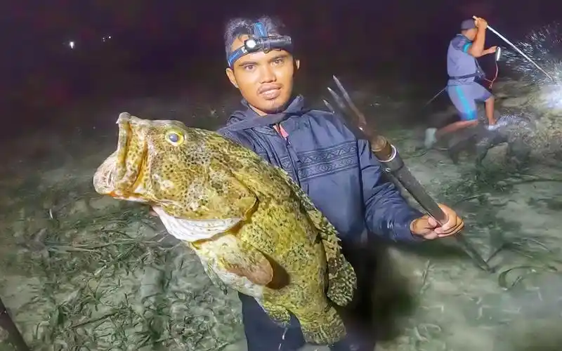 印尼渔民夜间赶海用鱼叉叉鱼太爽了,鱼获满满!