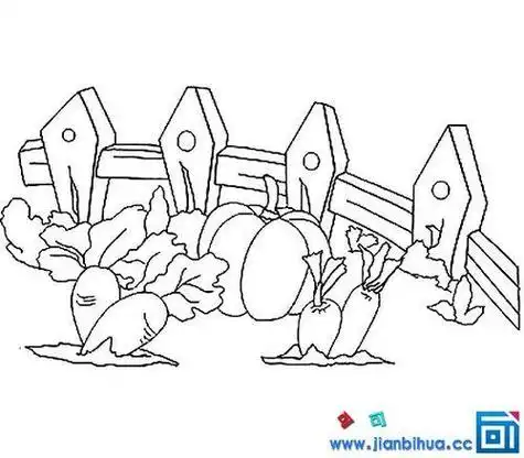 菜园子简笔画菜地油简笔画教画菜园子简笔画绿色家园儿童画-儿童简笔