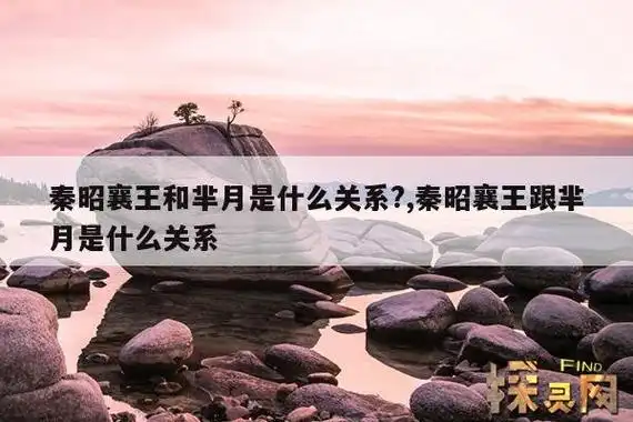 秦王嬴政和芈月是什么关系