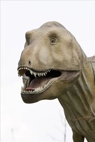 霸王龙,恐龙,正面,博物馆,法兰克福,黑森州,德国,欧洲