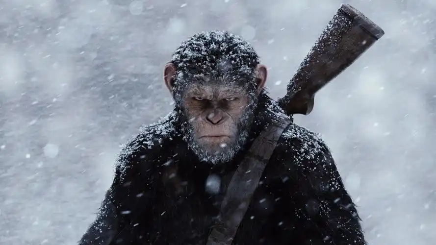 猩球崛起3终极之战壁纸