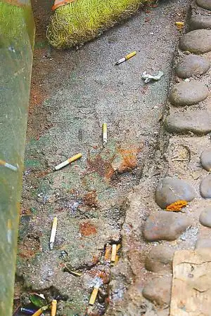 烟头随手丢环境由此脏
