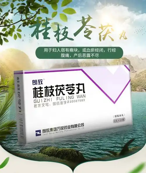 朗致桂枝茯苓丸浓缩水丸6丸20袋1盒装